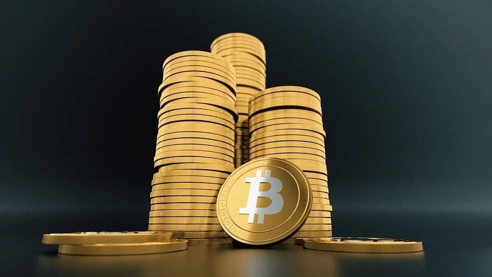 Why Did Elon Musk Stop Promoting Bitcoin? Why Did Elon Musk Stop Promoting Bitcoin?